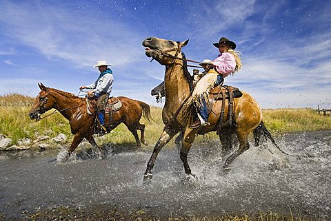 cowgirl and cowboy riding in water, Oregon, USA