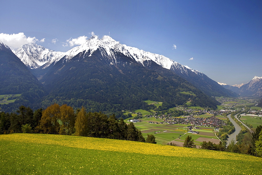 View of the Inntal valley, Pfaffenhofen, Hocheder in the Stubai Alps, dandelion meadow, Oberinntal Upper Inn Valley, Tyrol, Austria, Europe