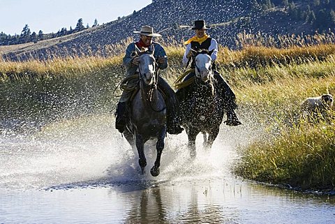 Cowboys riding in water, wildwest, Oregon, USA