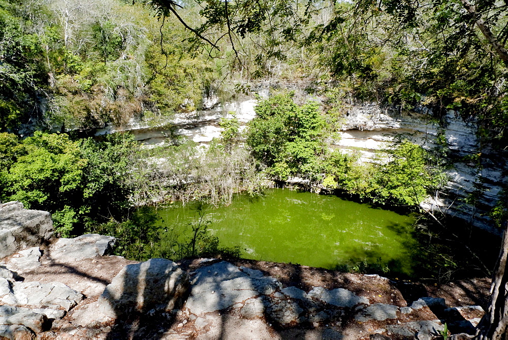 Cenote, holy spring, Cenote Sagrado in Chichen Itza, Yucatan, Mexico, Central America