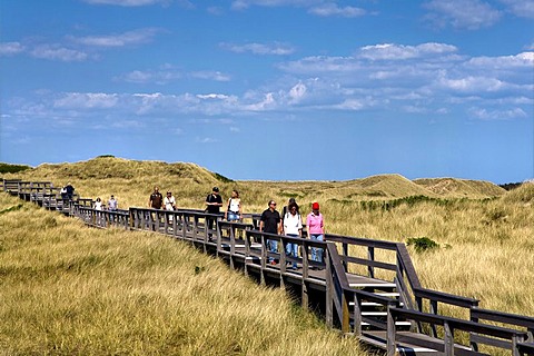 Wooden walkway through a dune landscape, Wenningstedt, North Frisia, Schleswig-Holstein, Germany, Europe