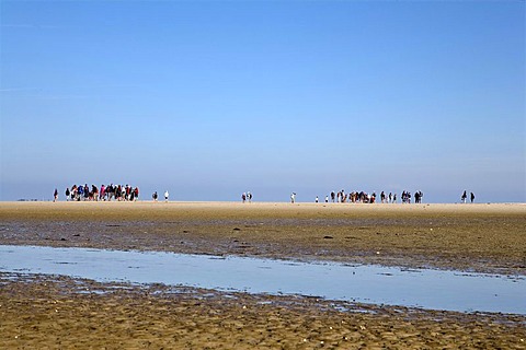 Walk across the mudflats, Amrum, North Frisia, Schleswig-Holstein, Germany, Europe