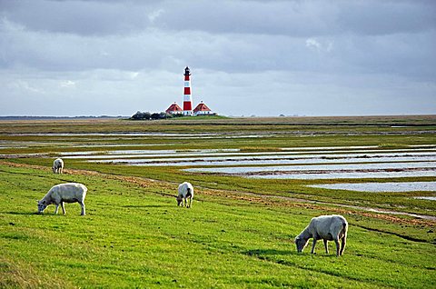 Lighthouse of Westerhever, St Peter Ording, Schlwesig Holstein, Germany