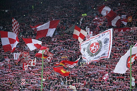 Fans of the 1.FC Kaiserslautern football club, Second German Soccer League, match 1. FC Kaiserslautern vs. TuS Koblenz in the Betzenberg or Fritz-Walter-Stadion, Kaiserslautern, Rhineland-Palatine, Germany, Europe