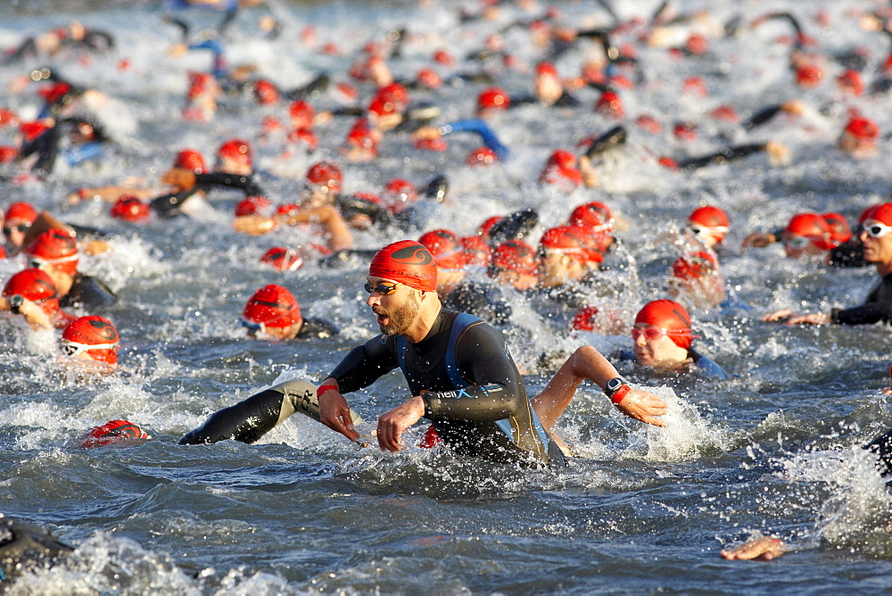 Triathlon, swimming competition, Ironman Germany, Frankfurt, Hesse, Germany, Europe