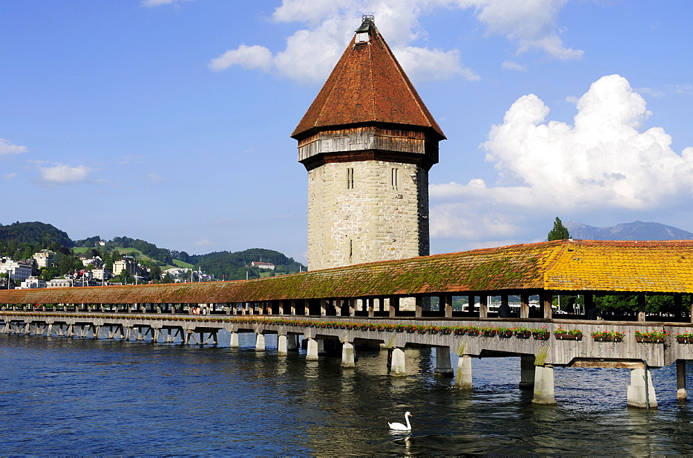 Chapel Bridge over Reuss River in Lucerne, Canton of Lucerne, Switzerland, Europe