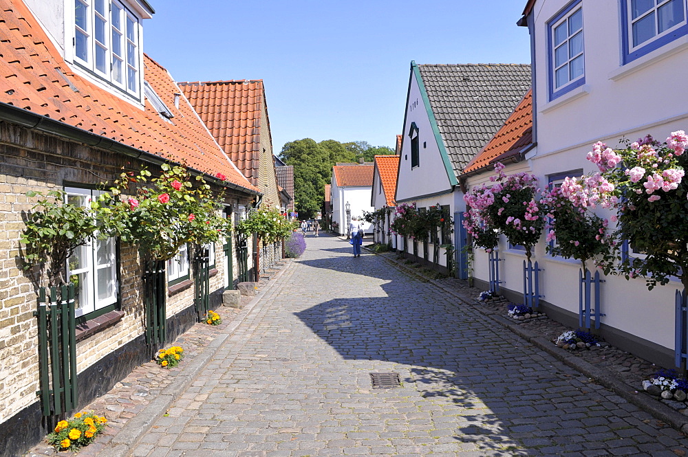 Old houses in the fishing village of Holm, Schleswig, Schleswig-Holstein, northern Germany, Germany, Europe