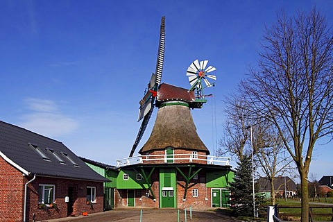 Old windmill "Gott mit uns", God with us, in Eddelak built in typical dutch style, district Dithmarschen, Schleswig-Holstein, Germany,