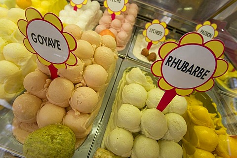 Different kinds of ice cream, Fenocchio ice cream parlour, Nice, Cote d'Azur, Provence, France