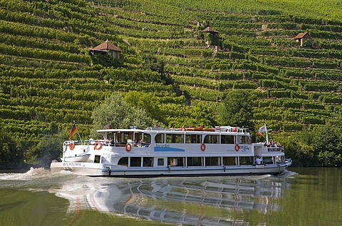 Excursion boat on Neckar River near Hofen, vineyards, wine growing, Stuttgart, Baden-Wuerttemberg, Germany