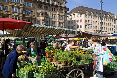 Customers at a market stall, herbs, market, Marktplatz Square, Basel, Switzerland