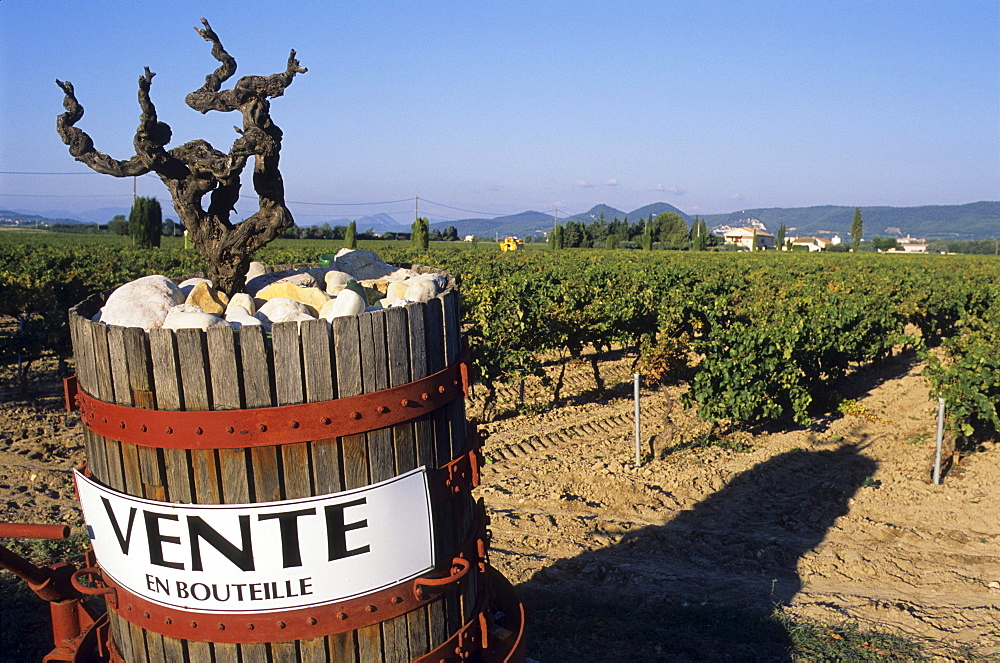 Advertising for wine on sale, vineyard, viticulture, wine, near Violes, Cotes du Rhone, Provence, France, Europe