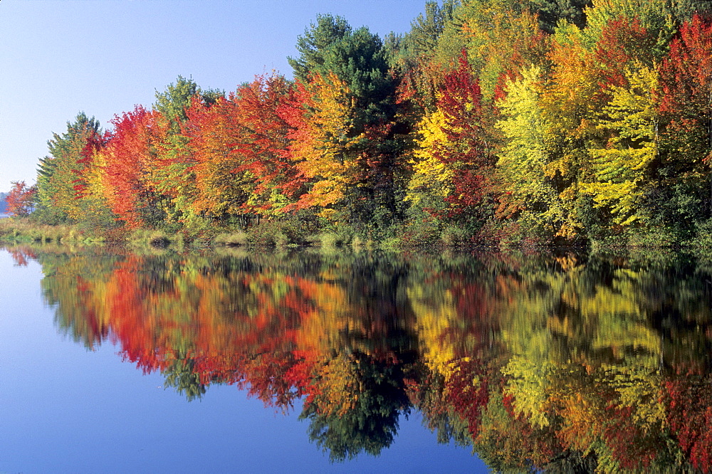 Autumnal reflection in a lake, Vermont, USA