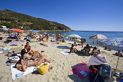 Beach of Cavoli, Elba, Tuscany, Italy, Mediterranean, Europe