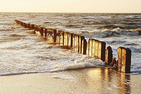 Groyne at the beach in Kampen, Sylt Island, North Sea, Schleswig-Holstein, Germany, Europe