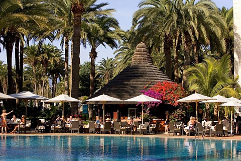 Swimming pool in a palm garden, Design Hotel Palm Beach, Grand Canary, Canary Islands, Spain, Europe