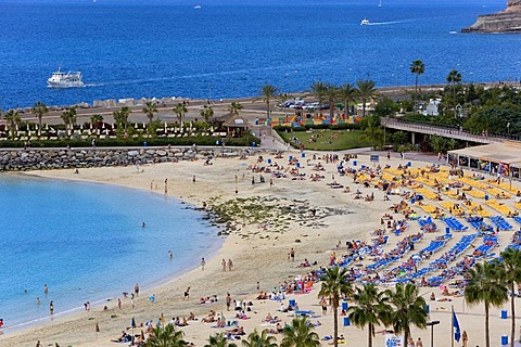 Playa Amadores beach near Puerto Rico, Grand Canary, Canary Islands, Spain, Europe