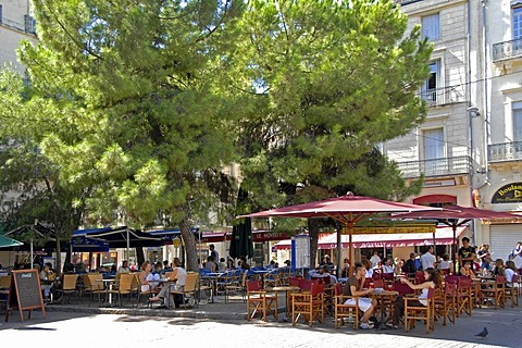 Guests in an outdoor dining area under a tree, historic city centre, Montpellier, Languedoc-Roussillon, France, Europe