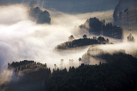 Aerial photo, morning fog, hilly landscape, Meschede Buchholz, Meschede, Hochsauerlandkreis, Sauerland, North Rhine-Westphalia, Germany, Europe