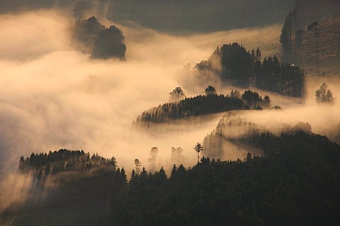 Aerial photo, morning fog, hilly landscape, Meschede Buchholz, Meschede, Hochsauerlandkreis, Sauerland, North Rhine-Westphalia, Germany, Europe