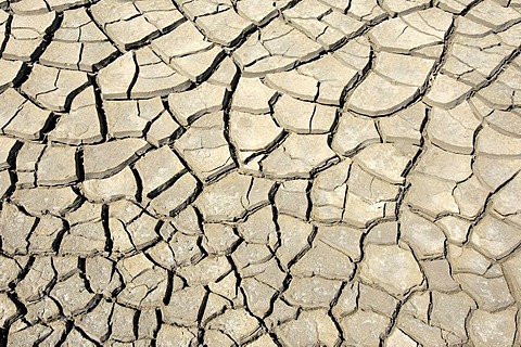 Dried out earth, Camargue, Provence, Southern France, France, Europe