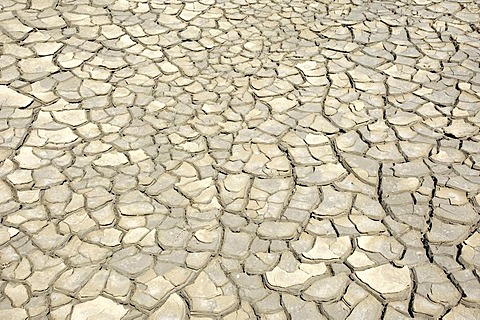 Parched ground, Camargue, Provence, Southern France, France, Europe