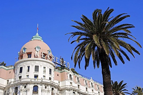 Hotel Negresco and palm, Nice, Alpes-Maritimes, Provence-Alpes-Cote d'Azur, Southern France, France, Europe