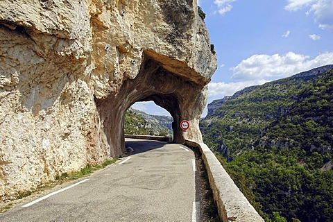 Street and tunnel, Gorges de la Nesque, Vaucluse, Provence-Alpes-Cote d'Azur, Southern France, France, Europe