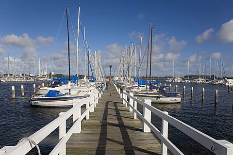 Marina or yacht harbor at Burgtiefe on Fehmarn Island, Schleswig-Holstein, Germany, Europe
