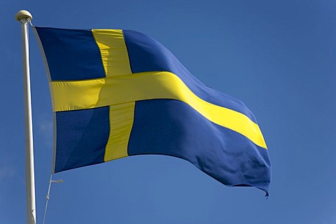 Swedish flag