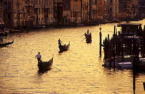 Gondolas on the Canal Grande, Venice, Italy, Europe