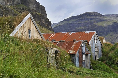 Nupsstadur storage sheds, overgrown with grass, Iceland, Europe