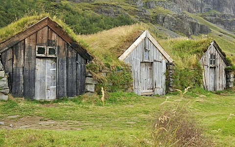 Nupsstadur storage sheds, overgrown with grass, Iceland, Europe