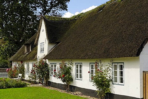 Thatched roof house, Hoejer, Jutland, Denmark, Europe