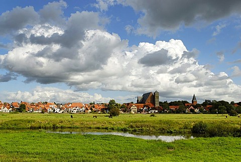 Verden over the meadows at the Aller River, Lower Saxony, Germany, Europe