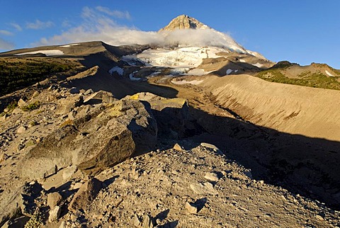 Eastern edge of Mount Hood volcano and Elliot Glacier, Cooper Spur Trail, Cascade Range, Oregon, USA