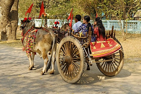 Family sitting on an ox-drawn cart, decorated, Bagan, Burma, Myanmar, Asia