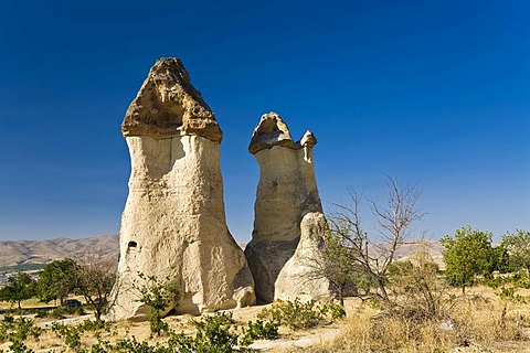 Tuff rock formation, fairy chimneys in the Valley of the Monks, Pasabagi Valley near Goereme, Cappadocia, Central Anatolia, Turkey, Asia