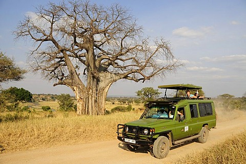 Tourists under a Baobab tree (Adansonia digitata) on safari in a four wheel drive vehicle, Tarangire-National Park, Tanzania, Africa