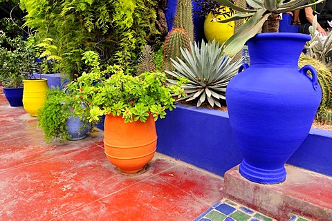 Jardin Majorelle, Marrakech, Morocco, Africa