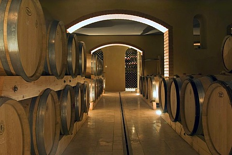 Wine cellar of the Cuvee du Vatican vineyard, Chateauneuf du Pape, Provence, France, Europe