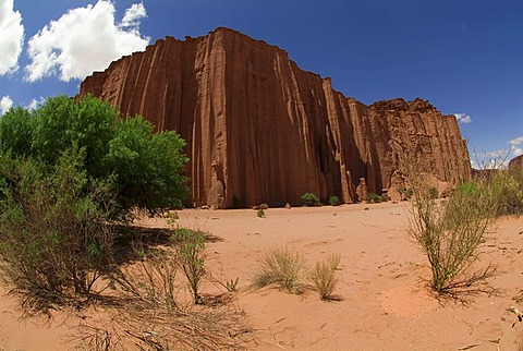 The Cathedral, Talampaya National Park, UNESCO World Heritage Site, La Rioja Province, Argentina