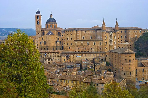 View of town with the Duomo and the Palazzo Ducale, Urbino, Marche, Italy, Europe