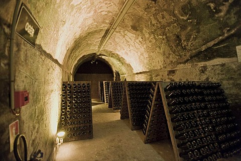 Mumm Champagne cellar, Reims, Champagne-Ardennes, France