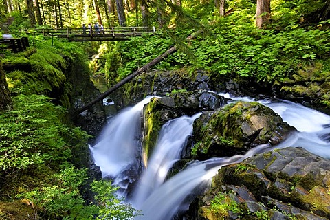 Sole Duc Falls, waterfall, tourist attraction, Olympic Peninsula, Nationalpark, Washington, USA, North America