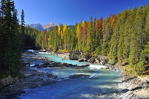 Mistaya River, Banff National Park, Alberta, Canada, North America