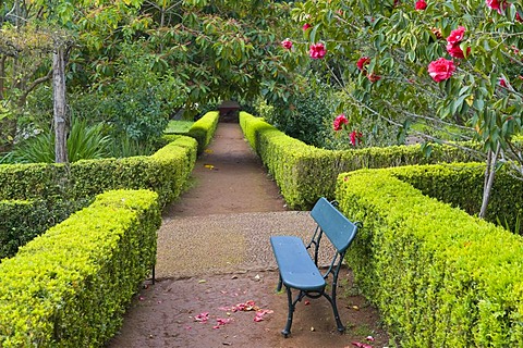 Blandy's Garden, Funchal, Madeira, Portugal