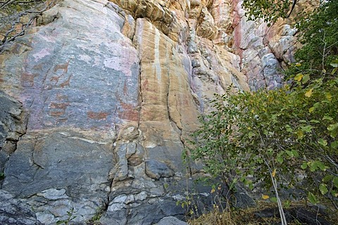 Rock paintings with Giraffes in UNESCO World Heritage Site, Tsodilo Hills, Botswana, Africa
