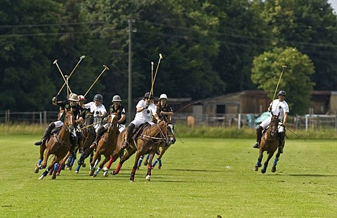 Polo, polo players chasing after a ball, polo competition, Berenberg High Goal Trophy 2008, Thann, Holzkirchen, Upper Bavaria, Bavaria, Germany, Europe