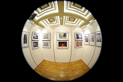 Fisheye picture, gallery, exhibition, photography